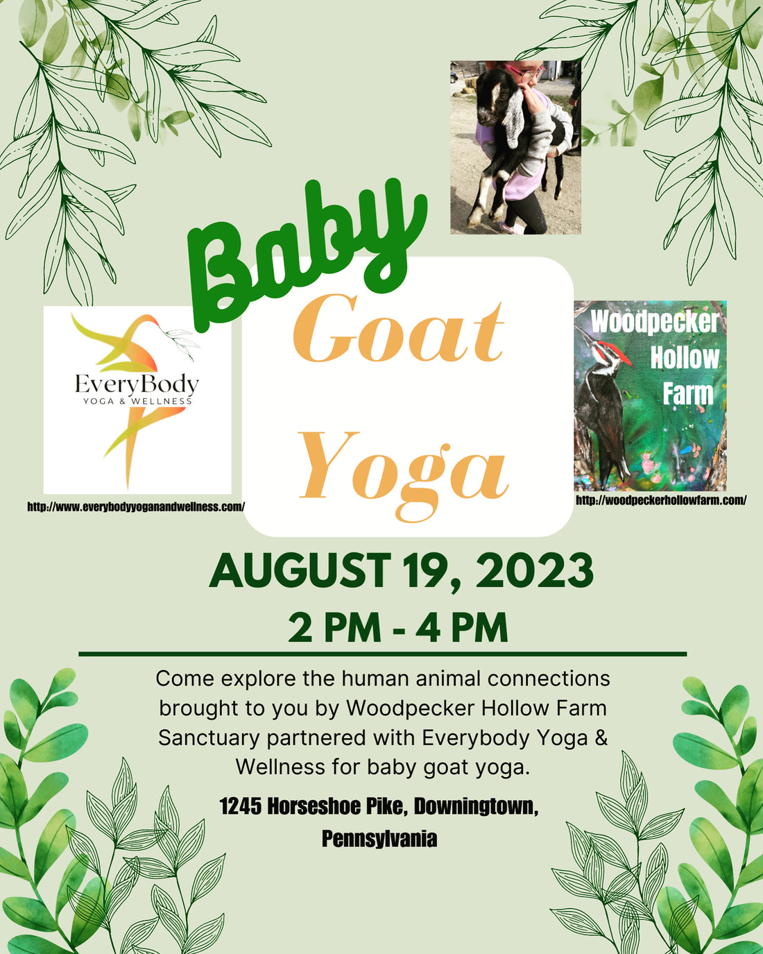 Baby Goat yoga coming soon!
