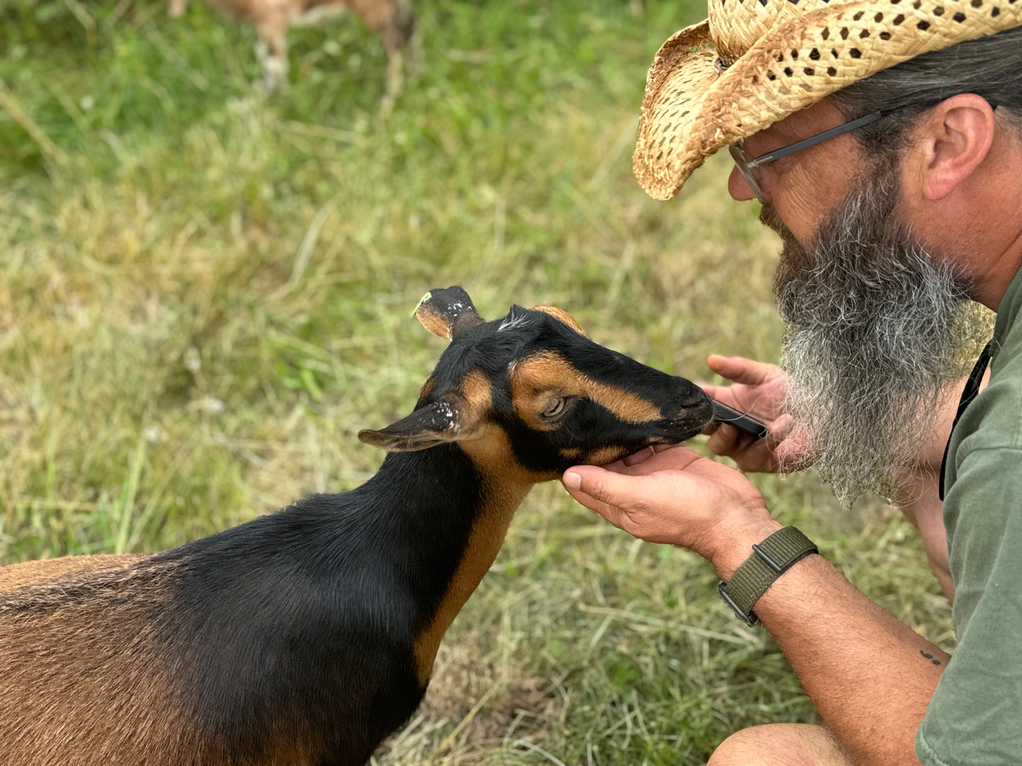 Goat Snuggles